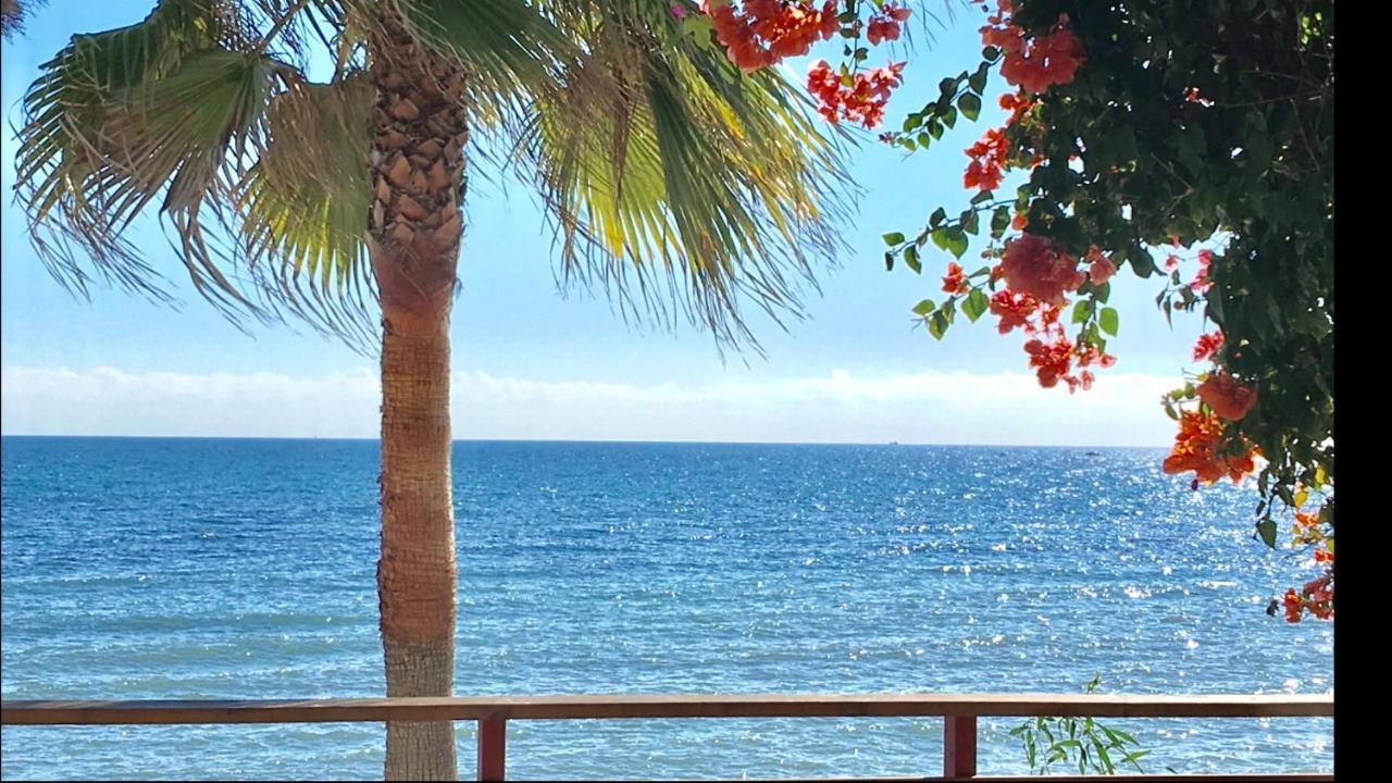 Mi Capricho 3-5 Beachfront- Apartment With Sea Views In Costa Del Sol Sitio de Calahonda 외부 사진